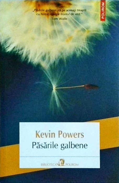 Kevin Powers - Pasarile galbene