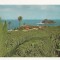 FS2 - Carte Postala - SPANIA - Tenerife, Garachico, circulata 1969