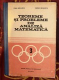Sorin Radulescu; Marius Radulescu - Teoreme si probleme de analiza matematica