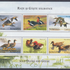 ROMANIA 2007 LP 1771 e RATE SI GASTE SALBATICE BLOC 6 TIMBRE MNH