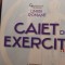 Gramatica de baza a limbii romane,academia rom&acirc;nă,caiet de exercitii