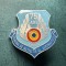 Insigna militara aniversara 75 ani Centru de instructie al Aeronauticii Bacau