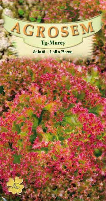 SALATA LOLLO ROSSA, 1.5g