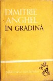 IN GRADINA-DIMITRIE ANGHEL-353694