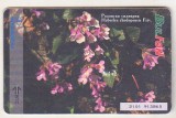 bnk card Cartele telefonice - Bulgaria - Bulfon - Flori - Haberlea Rhodopensis