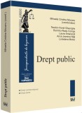 Drept public | Teodor-Viorel Gheorghe, Dumitru-Radu Comsa, Laura Smarandi, Anca Jeanina Nita, Loredana Motoc, Universul Juridic