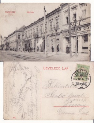 Timisoara -Kuttl-ter- rara foto