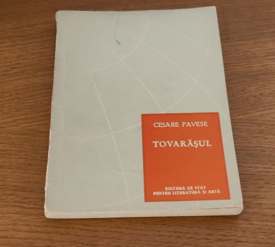 Cesare Pavese - Tovarășul foto