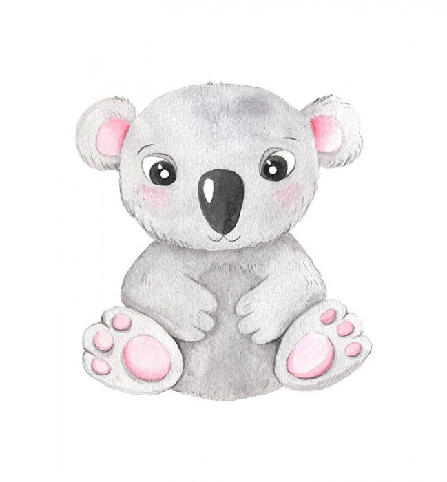 Sticker decorativ Koala, Gri, 59 cm, 3636ST