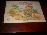 IN SAVANA AFRICANA -JOZEF PAVLOVIC carte bilingva romana engleza 1993