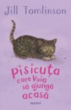 Pisicuța care voia să ajungă acasă - Jill Tomlinson