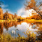 Fototapet Natura169 Toamna aramie cu lebede pe lac, 300 x 250 cm