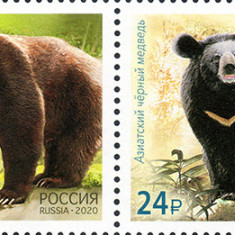 RUSIA 2020, Fauna, Ursi, serie neuzata, MNH