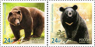 RUSIA 2020, Fauna, Ursi, serie neuzata, MNH foto