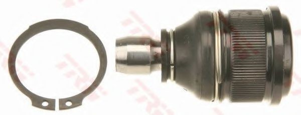 Pivot MAZDA 3 (BK) (2003 - 2009) TRW JBJ822