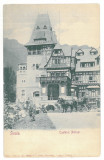 4468 - SINAIA, PELISOR Castle, Litho, Romania - old postcard - unused, Necirculata, Printata
