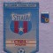 Fanion și insignă a Steaua București
