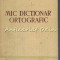 Mic Dictionar Ortografic