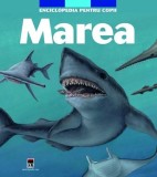 Enciclopedia Pentru Copii - Marea | Larousse, Rao