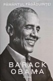 Cumpara ieftin Pamantul fagaduintei - 2020 - Barack Obama (@C11), Litera