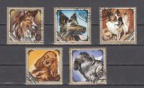 A12 S5 8 - Timbre foarte vechi - Mongolia - rase de caini, Stampilat