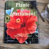 Plante de apartament - Jane Courtier