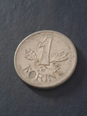 1 forint 1979 foto