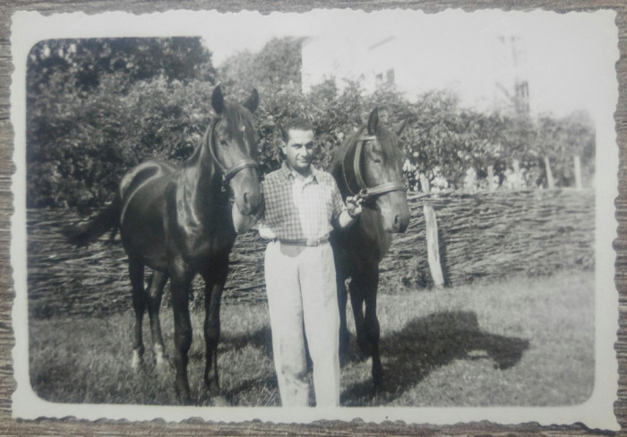 Barbat cu cai dintr-o ograda romaneasca// foto perioada interbelica