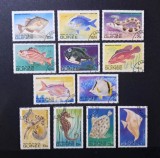 Guineea (R&eacute;publique de Guin&eacute;e) 1962 Fauna Pești Marini și Căluți de Mare Serie Completa 12v Ștampilat Conakry - A90