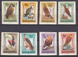 DB1 Fauna Pasari Rapitoare Ungaria 1962 8 v. MNH Nedantelate 2 poze ATENTIE, Nestampilat