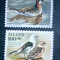 Islanda 1989 rațe, păsări fauna serie 2v neștampilata
