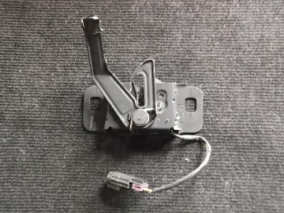 &amp;Icirc;ncuietoare capota OPEL INSIGNIA A G09 2009 OEM: 13309882 | 1452463 foto