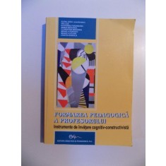 FORMAREA PEDAGOGICA A PROFESORULUI , INSTRUMENTE DE INVATARE COGNITIV-CONSTRUCTIVISTA de ELENA JOITA , REMUS MOGONEA , CRISTEA BOBOILA , 2007