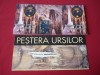 SET, LOT CARTI POSTALE CU MATCA, PESTERA URSILOR, 9 BUC., Necirculata, Fotografie