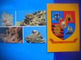 HOPCT LOT 2590 STEMA / FLORI DE MINA-JUD-MARAMURES-4 CARTI POSTALE-NECIRCULATE