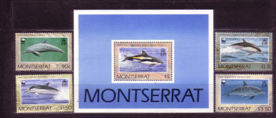 MONTSERRAT 1990 WWF FAUNA PROTEJATA DELFINI foto