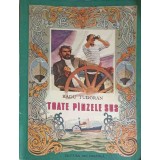 TOATE PANZELE SUS-RADU TUDORAN-267095