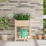 vidaXL Jardinieră cu raft, 60x60x76 cm, lemn masiv de brad
