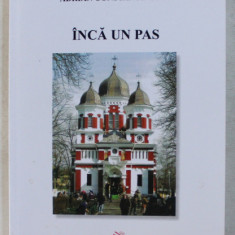 INCA UN PAS de ELENA CONSTANTINESCU , ADRIAN CONSTANTINESCU , 2013