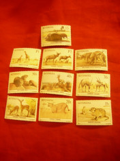 Serie mica Botswana 1987 - Fauna , 10 valori ,sarniera foto