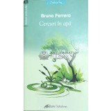 Cercuri in apa - 2007 - Bruno Ferrero ($C16)