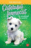 Cumpara ieftin Catelusul fermecat. Un weekend de neuitat/Sue Bentley, Litera