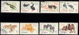 A11 TW 5 - 1964 - Gradina zoologica din Bucuresti