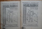 Neamul romanesc pentru popor, director Nicolae Iorga, 1923, 2 numere