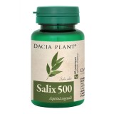 Salix 500, 60 comprimate, Dacia Plant