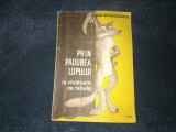GEORGE NICULESCU MIZIL - PRIN PADUREA LUPULUI