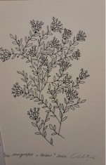 &rdquo;Ierbar&rdquo;, Ștefan C&acirc;lția, serigrafie, certif autenticitate, mapă, 24 x 17 cm