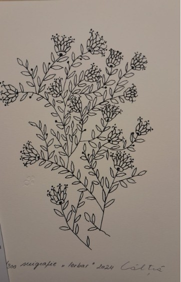 &rdquo;Ierbar&rdquo;, Ștefan C&acirc;lția, serigrafie, certif autenticitate, mapă, 24 x 17 cm
