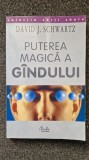 PUTEREA MAGICA A GANDULUI - David Schwartz