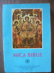 MICA BIBLIE - 1998 foto
